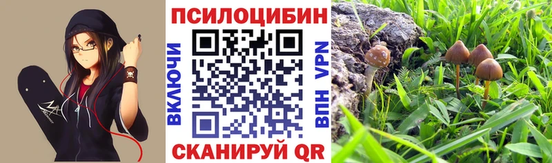 Галлюциногенные грибы GOLDEN TEACHER Прохладный