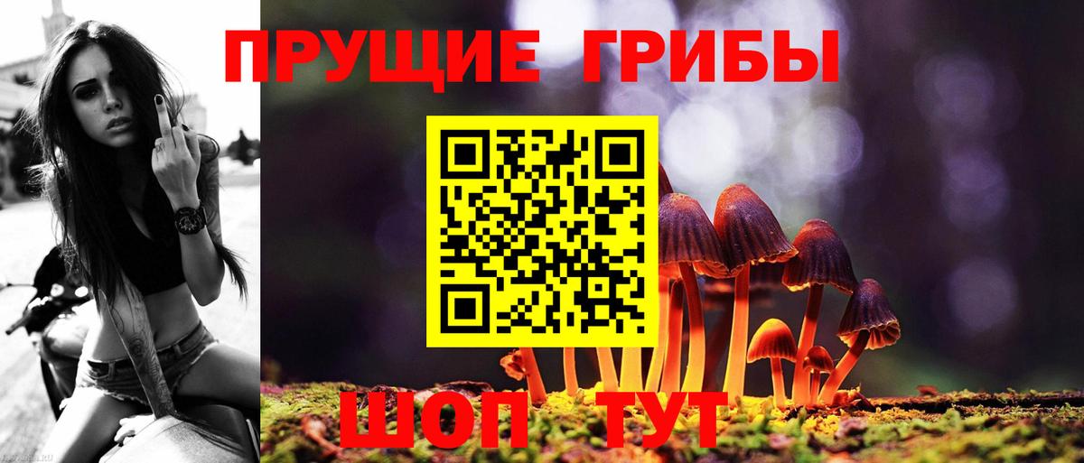Галлюциногенные грибы ЛСД  Вход с VPN  Прохладный 
