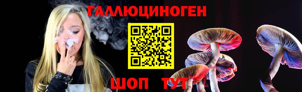Галлюциногенные грибы MAGIC MUSHROOMS Прохладный