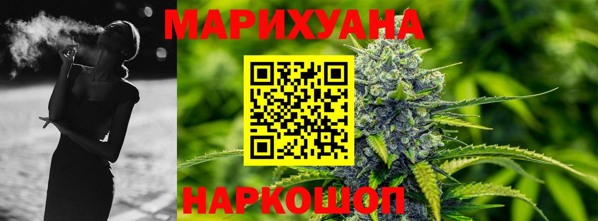 Конопля сатива Прохладный